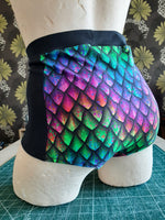 In Stock Rainbow Dragonscale High Waisted Retro Panelled Booty Shorts size S -- 355844981513